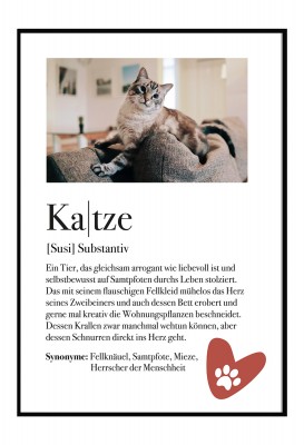 Definition Katze - Foto-Poster