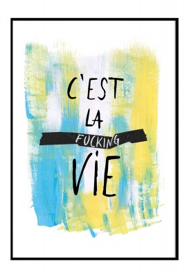 C'est la fucking vie - Poster